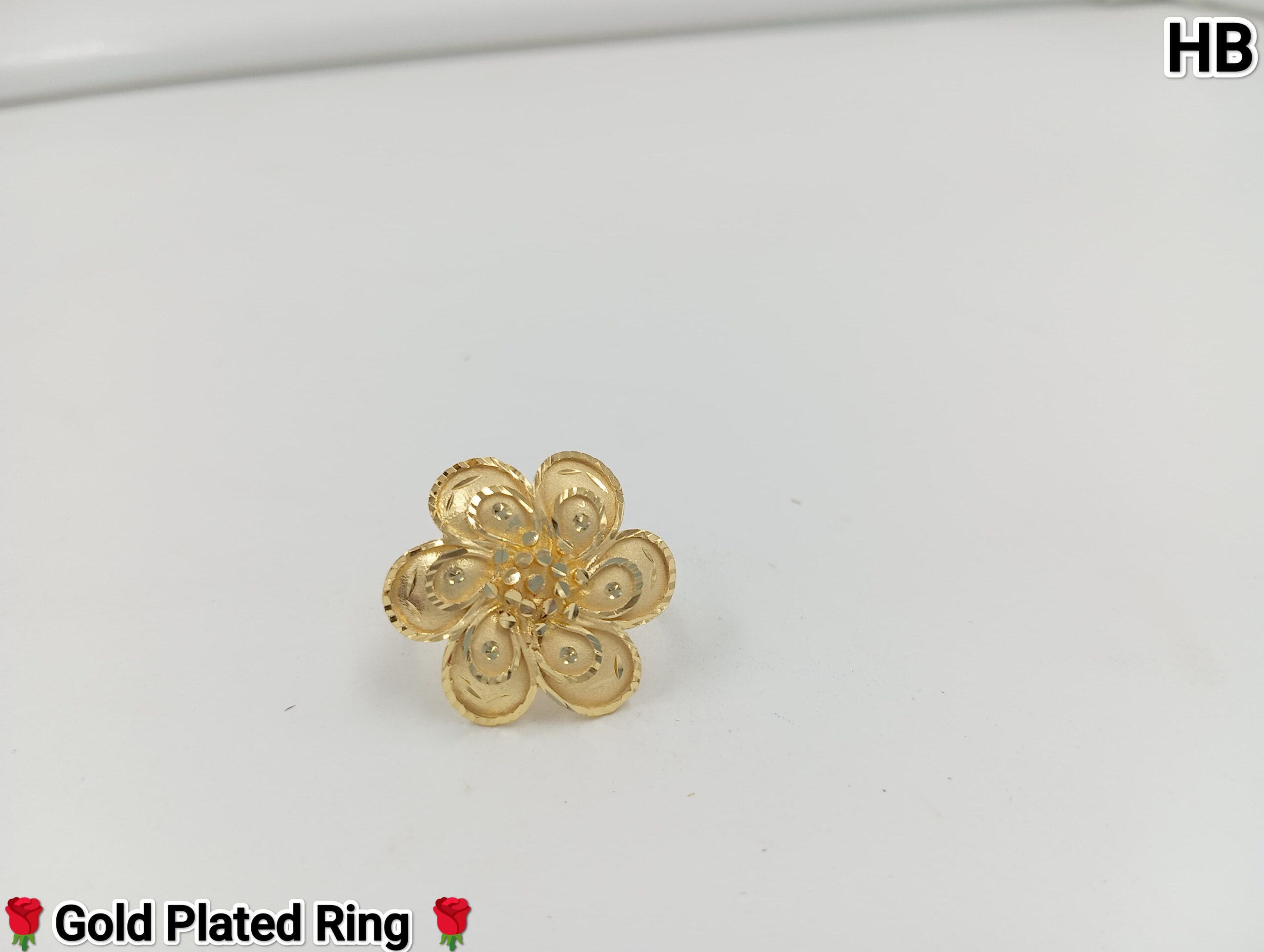 WhatsApp Image 2025-02-13 at 18.00.08_3716f468 HB - Image 1